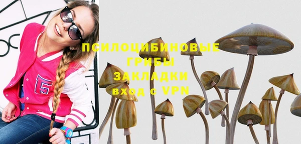гидра Остров